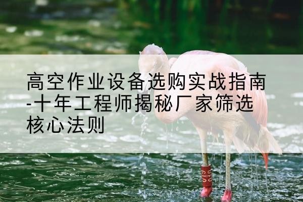西双版纳剪叉式升降机厂家-高空作业设备选购实战指南-十年工程师揭秘厂家筛选核心法则