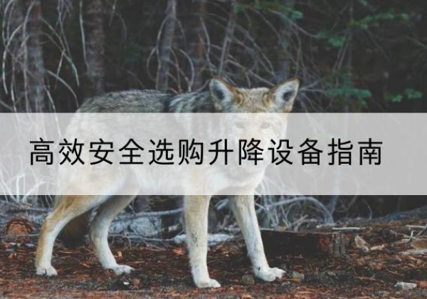 西双版纳升降货梯厂家推荐-*安全选购升降设备指南