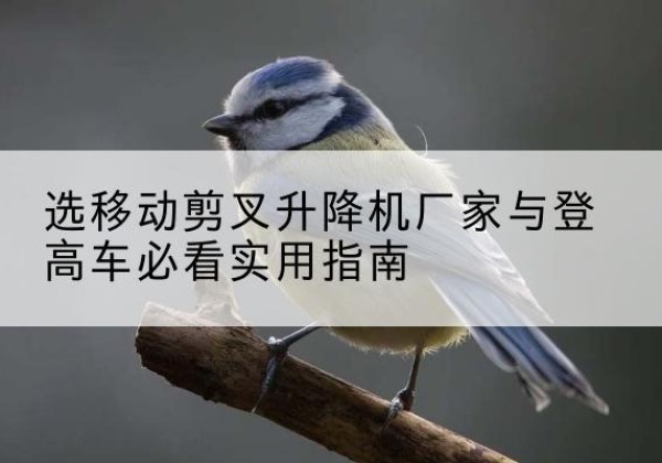 西双版纳电动升降机厂家-选移动剪叉升降机厂家与登高车必看实用指南