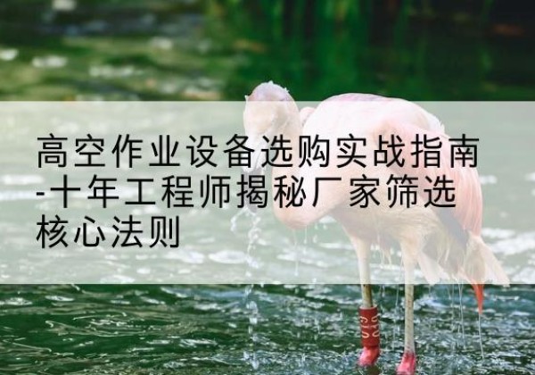 西双版纳剪叉式升降机厂家-高空作业设备选购实战指南-十年工程师揭秘厂家筛选核心法则